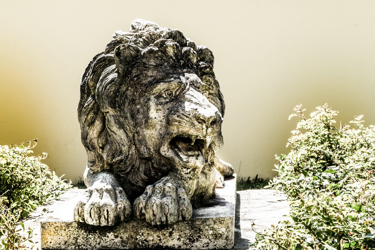 O Fotomagazin / Pregrtner Pflanzl- und Gartenkirtag 2016